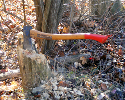 Paul Bunyan Woodsman&nbsp;- Nov 27, 2010